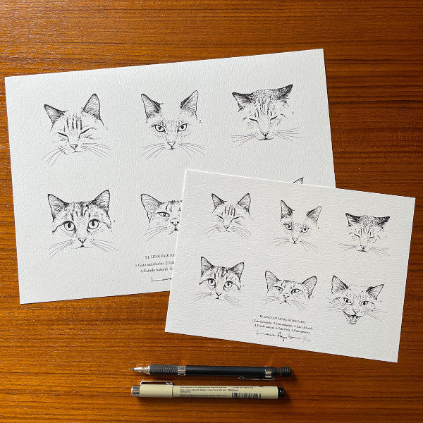 Prints de diferentes tamaños con la print de Laura Agustí de el lenguaje facial de los gatos
