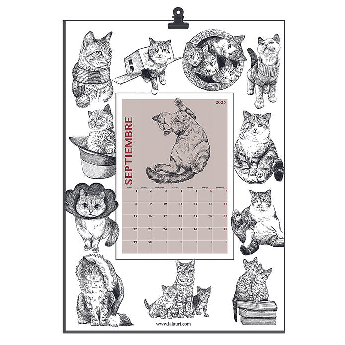 Varios gatos dibujados por la ilustradora Laura Agustí en el mes de septiembre para el calendario del 2025 para notas