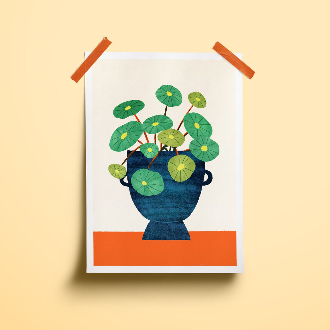 Ilustración de una planta pilea sembrada en una asija y cogida con dos washi tapes naranjas a la pared