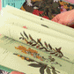 GIf del libro Plantas Poderosas de Florencia Fasanella con todo lo que necesitas saber sobre fitoterapia.