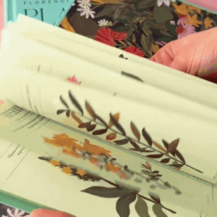 GIf del libro Plantas Poderosas de Florencia Fasanella con todo lo que necesitas saber sobre fitoterapia.