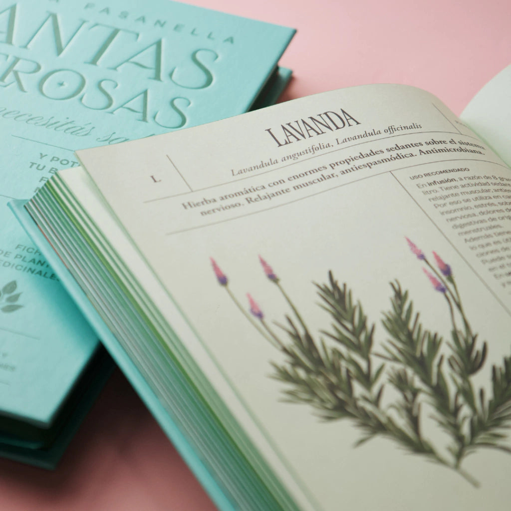 Página interior del libro Plantas Poderosas de Florencia Fasanella con ficha de la lavanda.