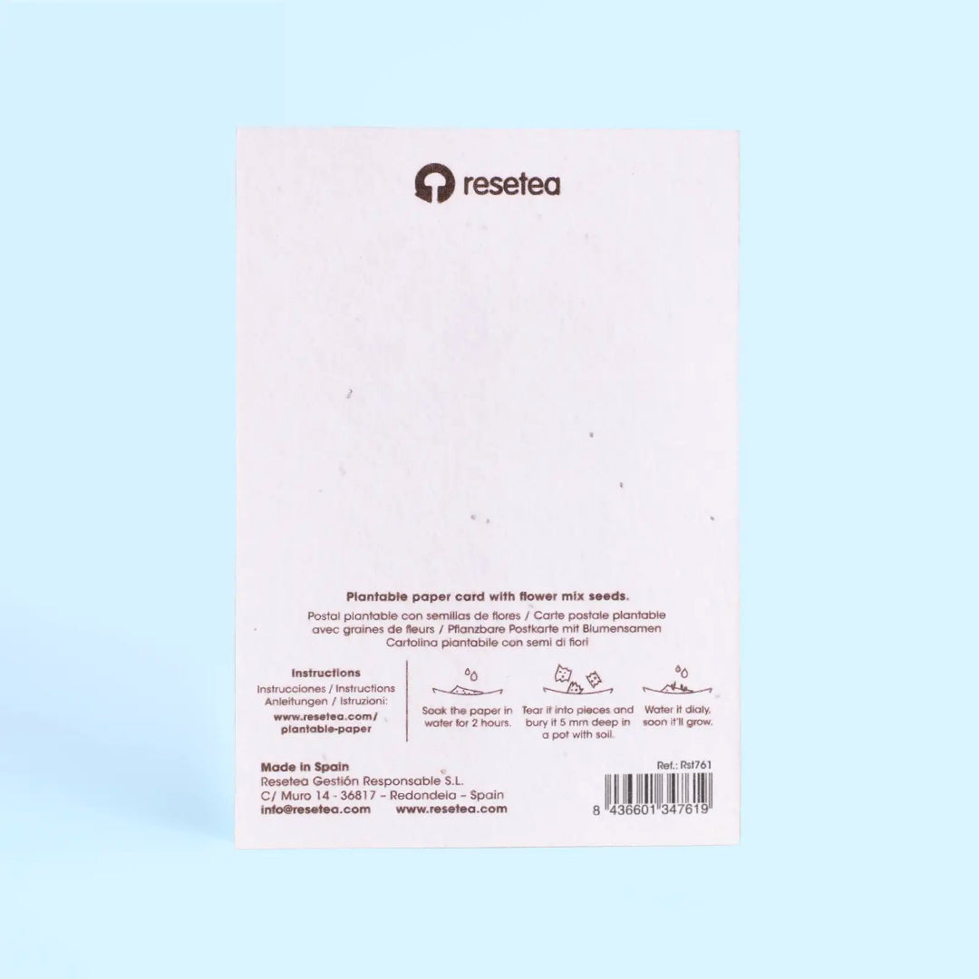 Parte de atrás de las tarjetas de Navidad plantables de Resetea, con instrucciones de uso para sembrarlas