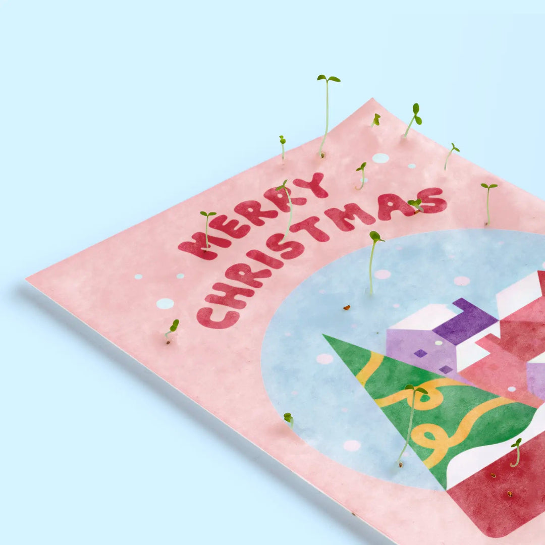 Detalle de una tarjeta de Navidad plantables de Resetea germinada