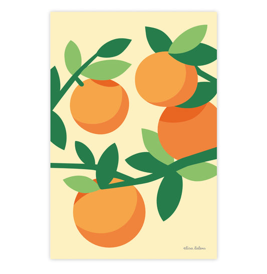 Postal con la ilustración de unas naranjas. 