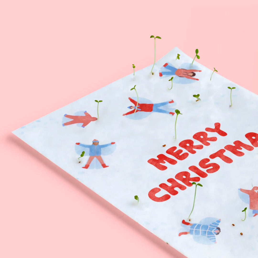 Detalle de una tarjeta de Navidad plantables de Resetea germinada