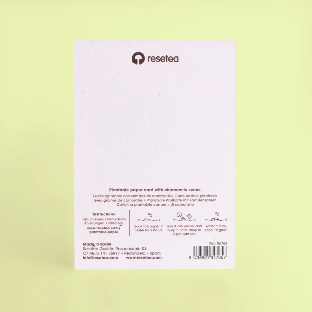 Parte de atrás de las tarjetas de Navidad plantables de Resetea, con instrucciones de uso para sembrarlas