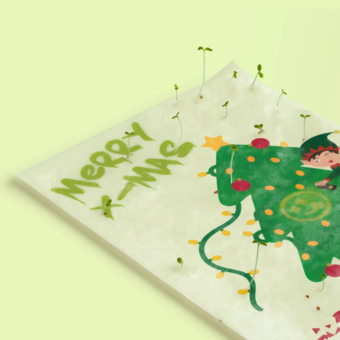 Detalle de una tarjeta de Navidad plantables de Resetea germinada
