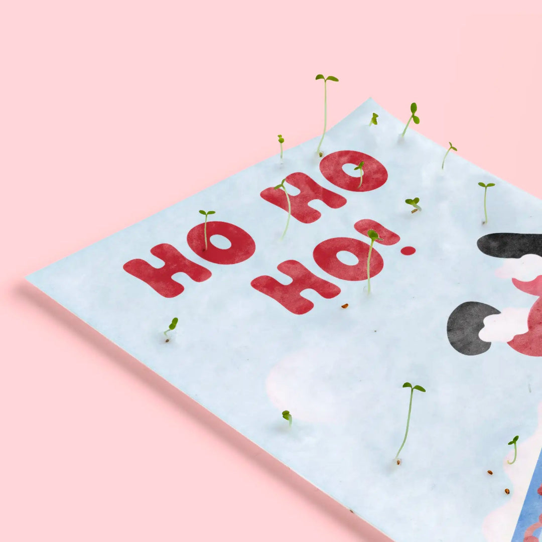 Detalle de una tarjeta de Navidad plantables de Resetea germinada