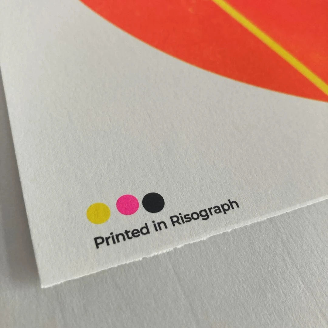 detalle de los colores amarillo, rosa y negro usados en la risografía de unas grullas en l'Albufera de Valencia por el artista Risitas