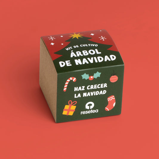 Kit de cultivo árbol de Navidad