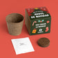 Kit de cultivo árbol de Navidad