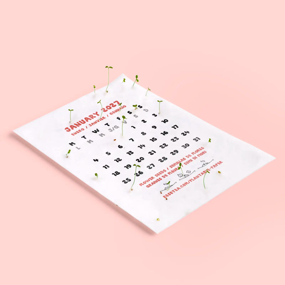 detalle de plantas brotando de una de las hojas del calendario plantable 2027 de resetea