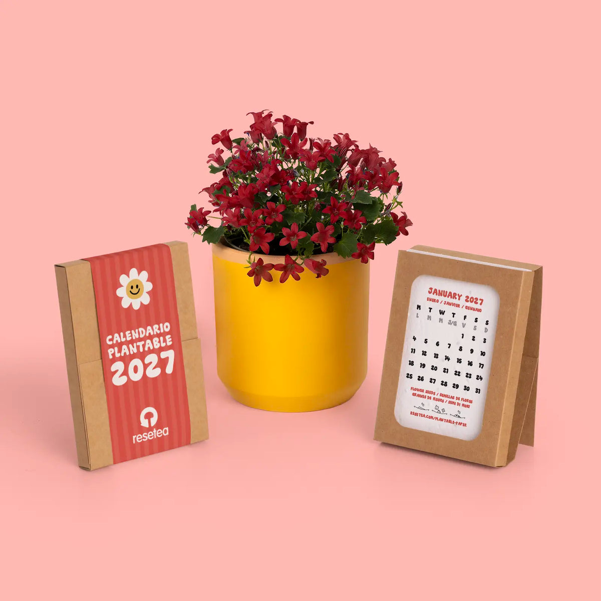 calendario plantable 2027 de resetea con mix de flores cerrado y abierto al lado de una maceta con una planta con flores rojas