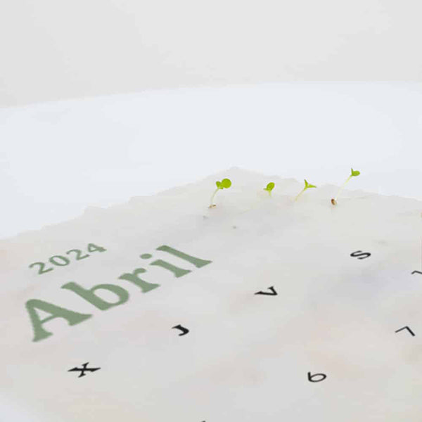 Hoja plantable del mes de abril de 2024 con semillas germinadas