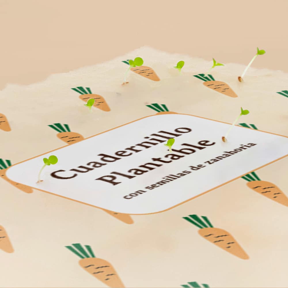 Cuadernillo plantable con semillas de zanahoria de Resetea