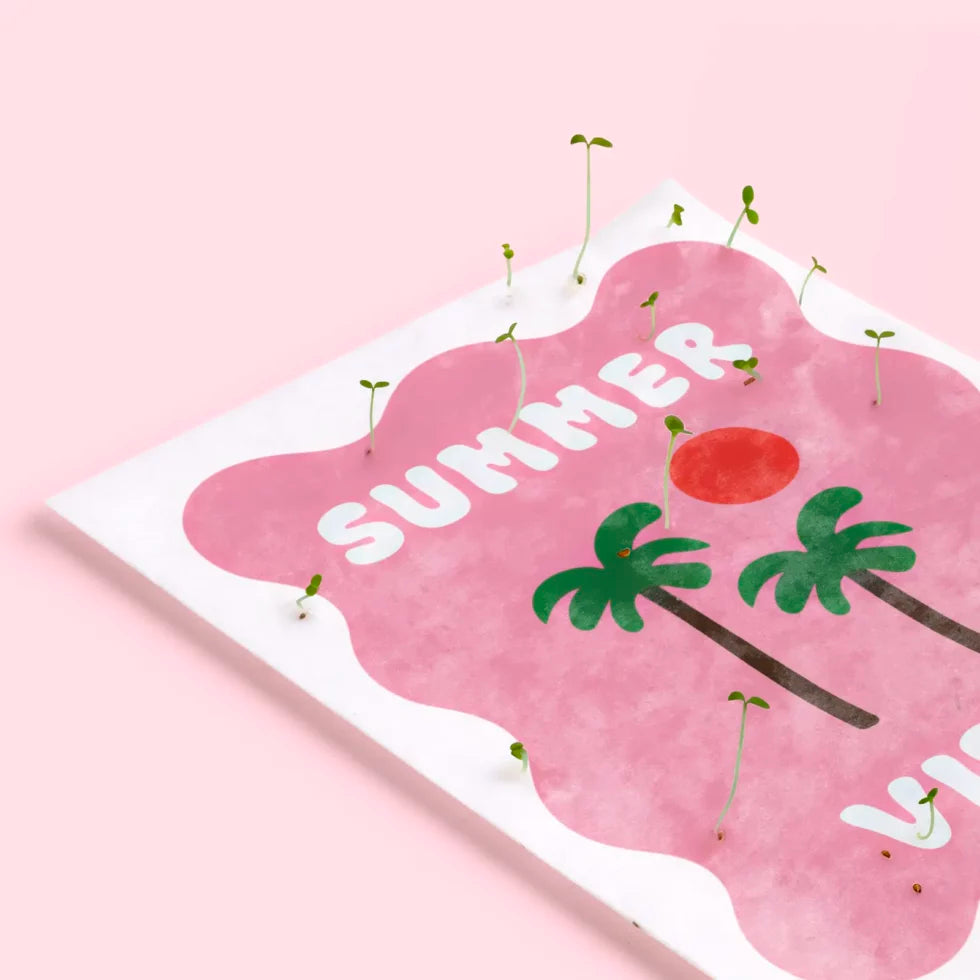 detalle de la postal con semillas dentro de la marca resetea con un cuadraro en color rosa con dos palmeras y un sol y el texto Summer Vibes en blanco con brotes saliendo de ella
