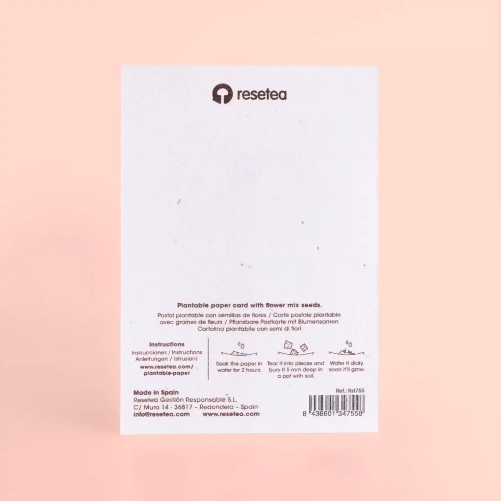parte de atrás de la postal plantable Dolce Vita con semillas de mix de flores