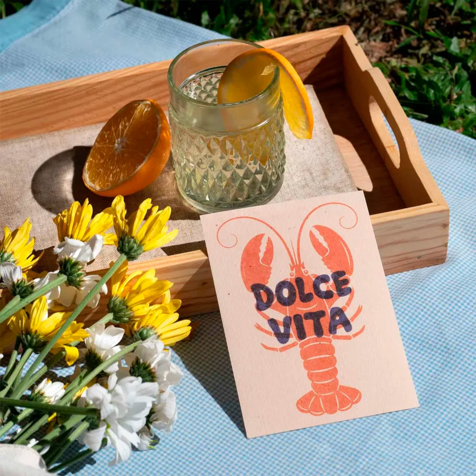 postal con semillas dentro de la marca resetea con una langosta dibujada en color rojo con el texto Dolce Vita en color azul, y puesta sobre una bandeja con una bebida con media naranja y flores