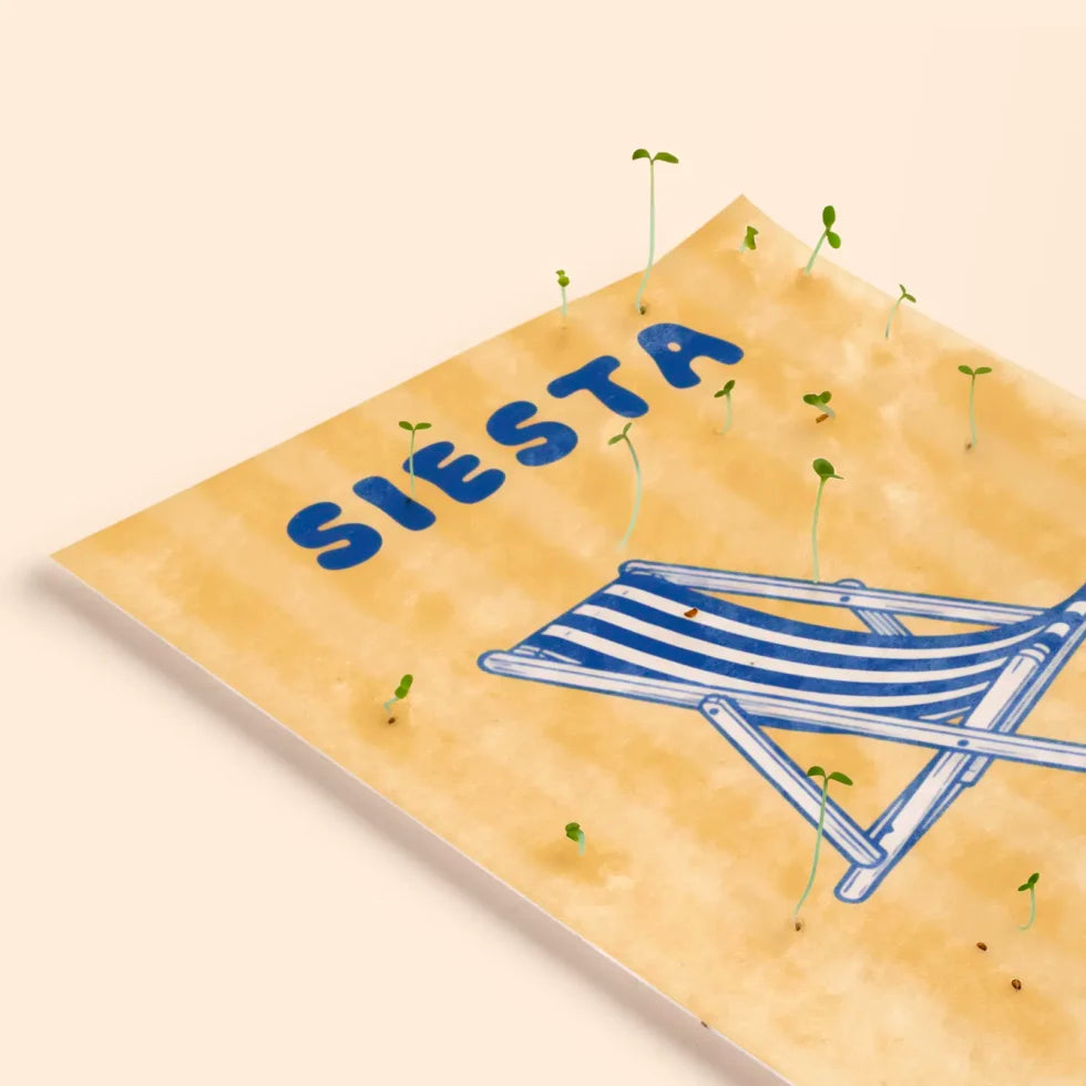 detalle de la postal con semillas dentro de la marca resetea con el fondo a rayas amarillas, una tumbona a rayas dibujada en azul y el texto SIESTA también en azul con brotes saliendo de ella