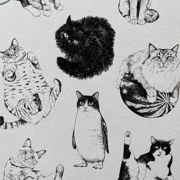 Detalle de la ilustración de gatos de Laura Agustí