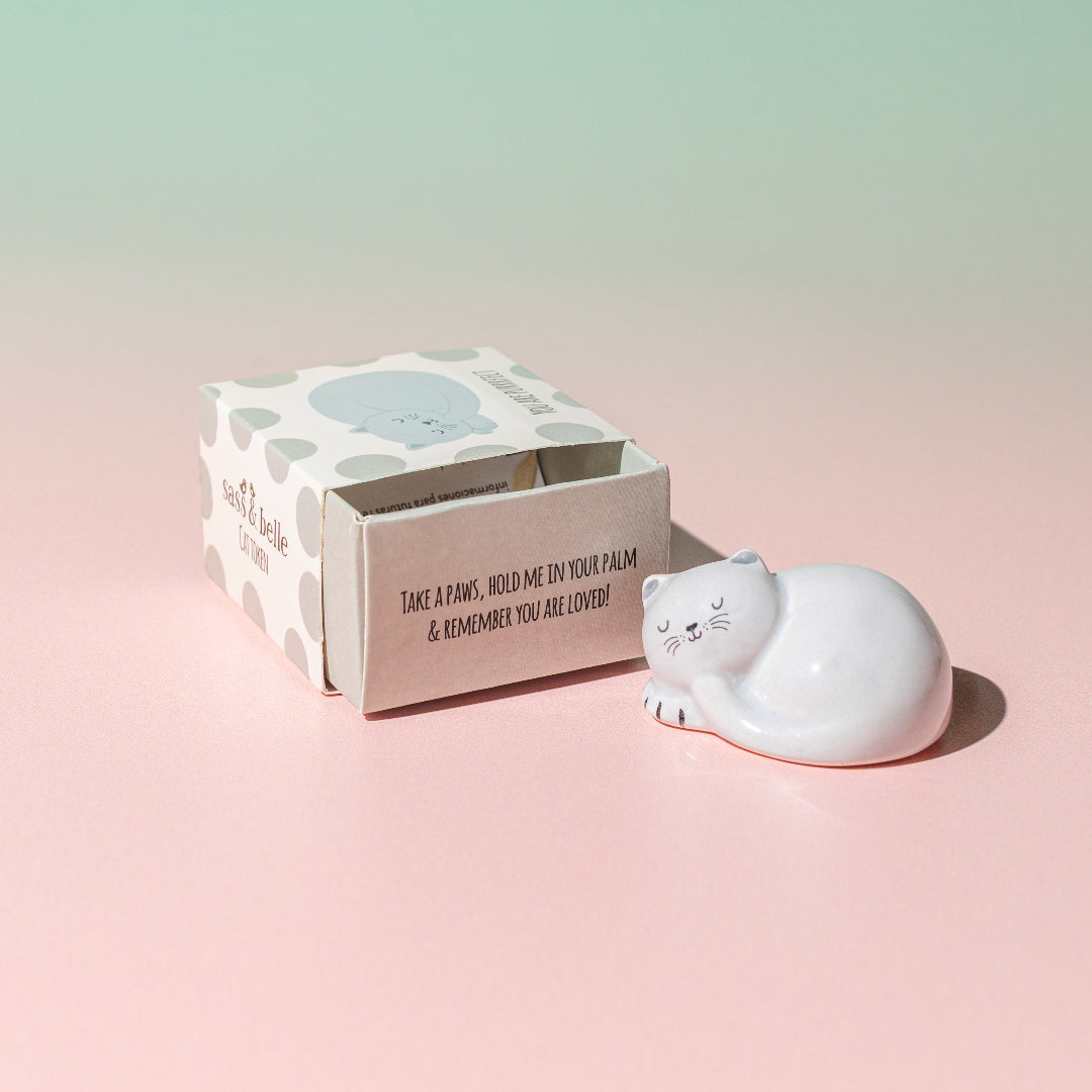 Token en forma de gato blanco durmiente con su caja al lado sobre fondo degradado verde y rosa. 