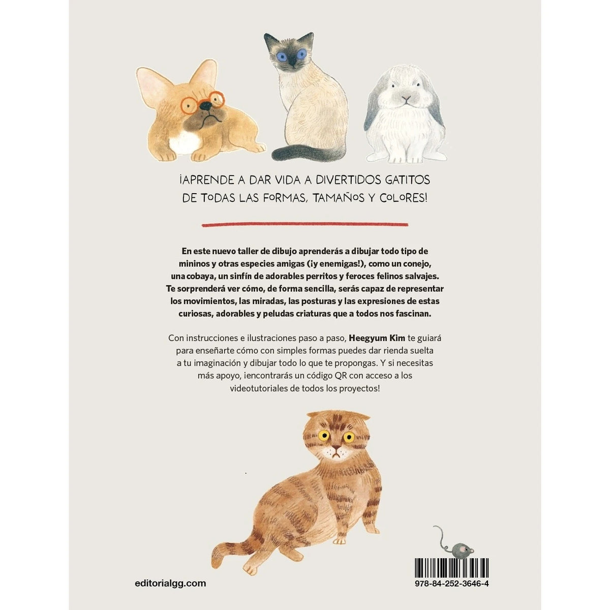 Contraportada de Taller de dibujo: gatos domésticos y no tan domésticos, con ilustraciones de gatos, un perro y un conejo.
