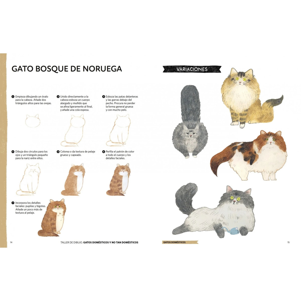 Páginas interiores con instrucciones paso a paso para dibujar un gato bosque de Noruega y ejemplos de distintos pelajes y posturas.
