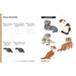 Páginas interiores con instrucciones paso a paso para dibujar un gato fold escocés y ejemplos de gatos de orejas plegadas.
