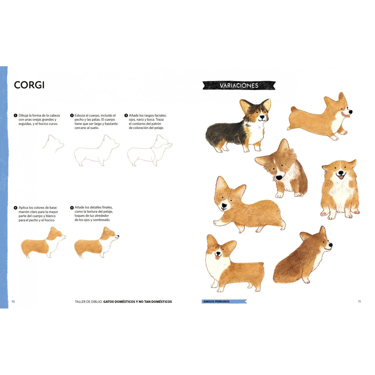 Páginas interiores con instrucciones paso a paso para dibujar un perro corgi y ejemplos en diferentes posturas y colores.
