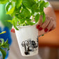 Mujer de uñas rojas sosteniendo un vaso de cerámica blanca con una planta de albahaca sembrada e ilustrado por Helen B en línea negra con una chica dormida frente a unas macetas con plantas