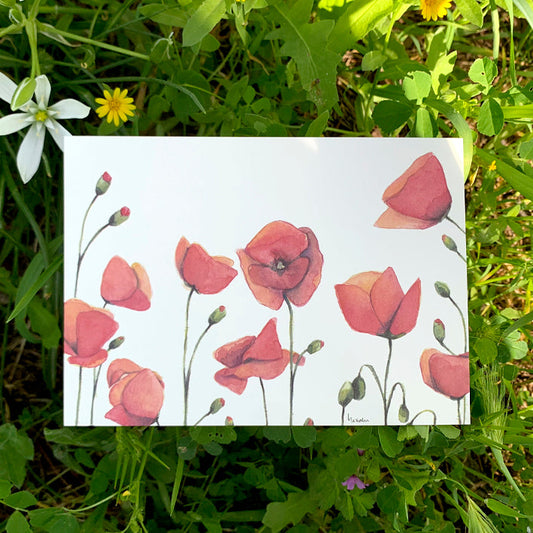 Postal con ilustración en acuarela de amapolas de la artista madrileña Marialu Gili