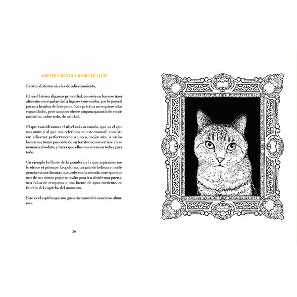 Texto e ilustración en el interior del libro Cómo domesticar a un humano de Babas, Ilustrado por Laura Agustí