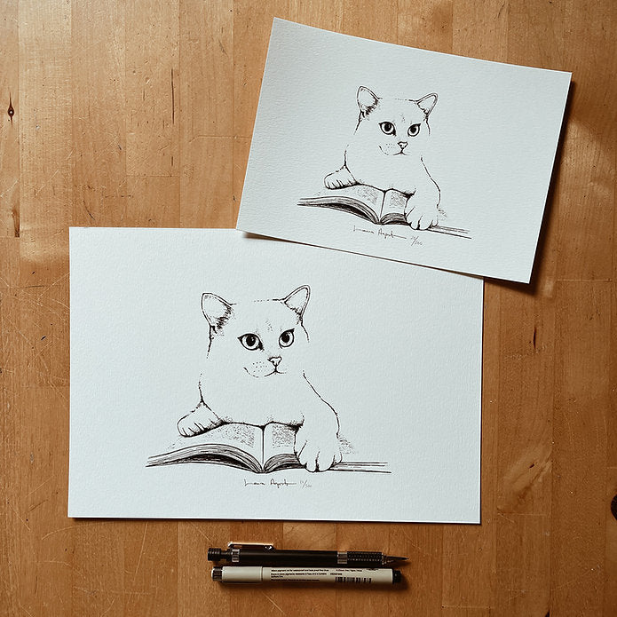 dibujo de un gato sobre un libro en dos tamaños distintos
