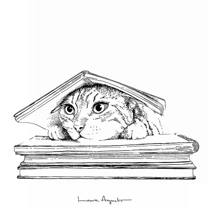 ilustración de un gato entre libros de la artista Laura Agustí