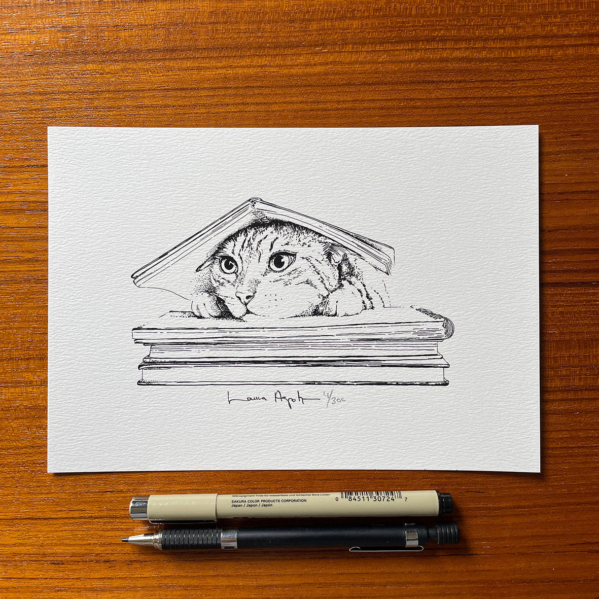 lámina de Laura Agustí con un dibujo de un gato entre libros