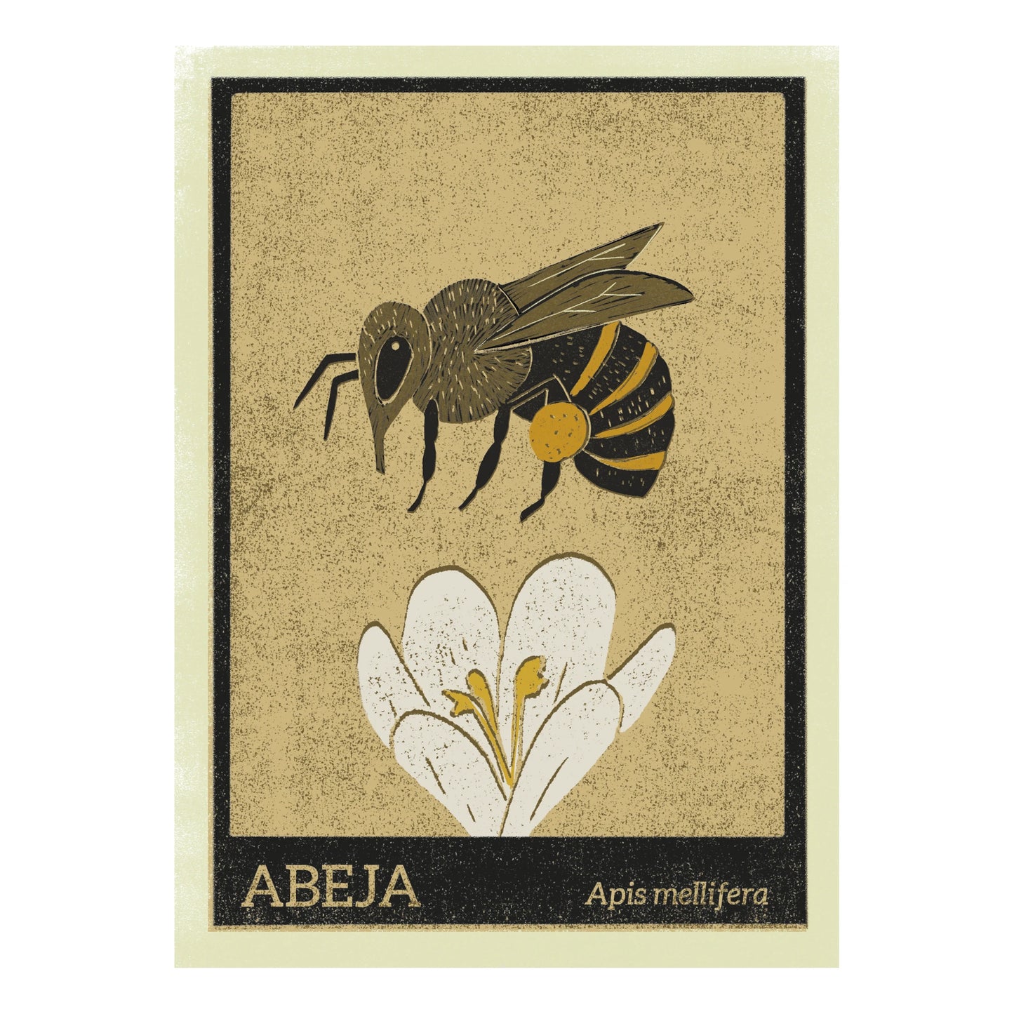 Postal Abeja de Aneta Tarmokas