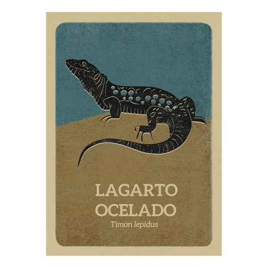 Postal Lagarto Ocelado de Aneta Tarmokas