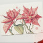 Postal con ilustración de flores de Pascua en acuarela de la ilustradora Marialu Gili