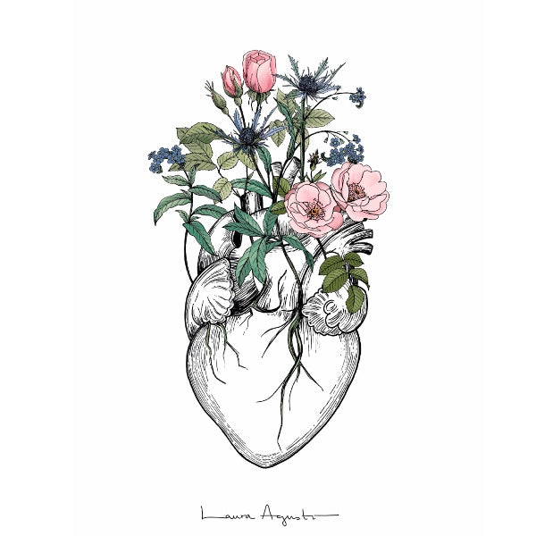 Ilustración de Laura Agustí de un corazón anatómico del que brotan rosas salvajes, cardos y nomeolvides
