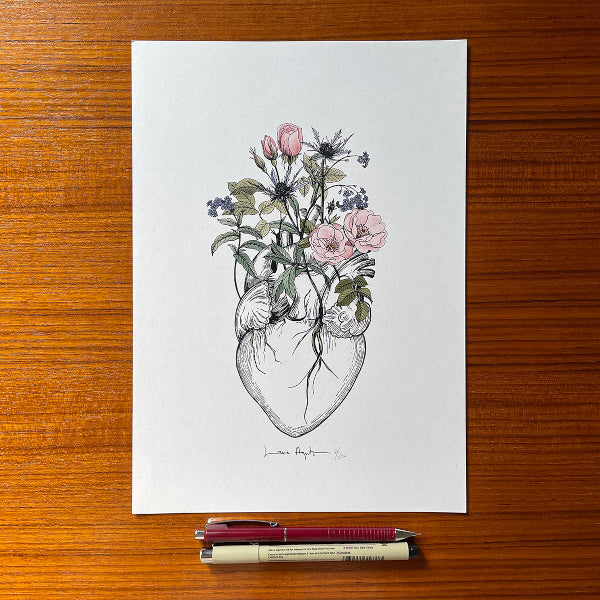 Ilustración de Laura Agustí de un corazón anatómico del que brotan rosas salvajes, cardos y nomeolvides en tamaño A4 sobre una mesa de madera