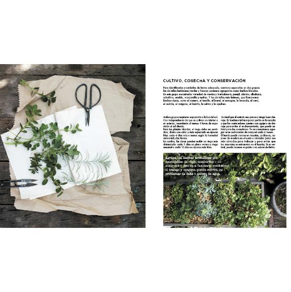 Compañía botánica libro manual jardinería plantas casa huerto urbano terrario naturaleza cuidar