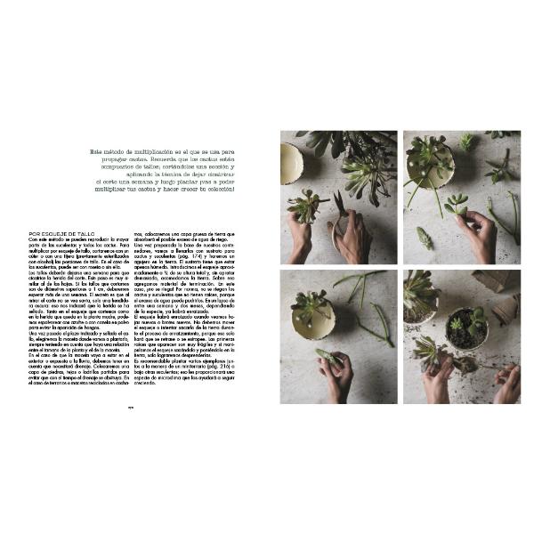 Compañía botánica libro manual jardinería plantas casa huerto urbano terrario naturaleza cuidar