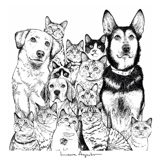Ilustración de Laura Agustí de un grupo de 14 perros y gatos 