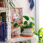 Colgador de 20 cm con una ilustración de Ana jarén colgado de la pared detrás de una estantería con libros y plantas