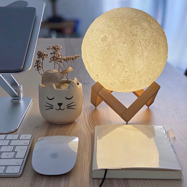 Lámpara con forma de luna en un escritorio al lado de una maceta con forma de gato 