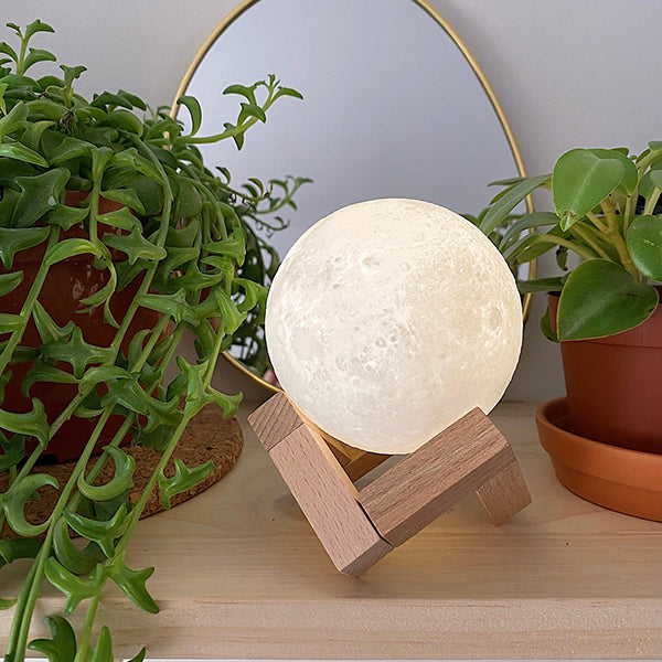 Lámpara luna con base de madera reflejándose en un espejo con plantas alrededor