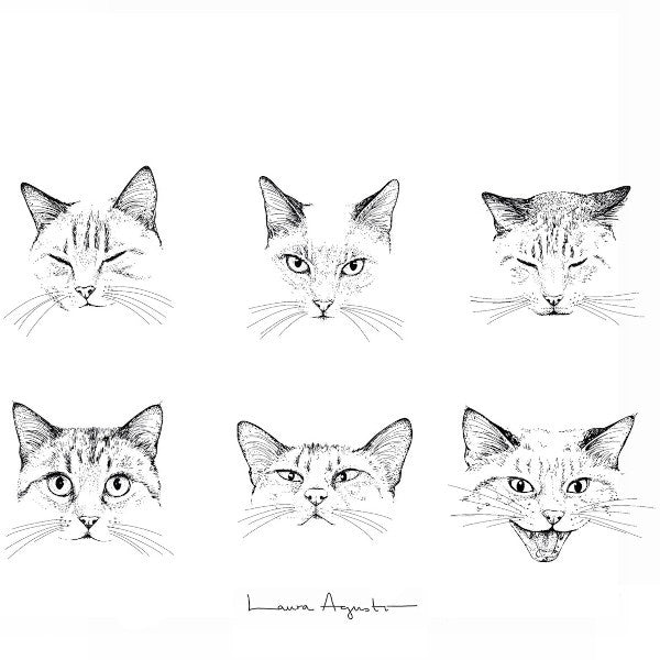 Ilustración de Laura Agustí de las diferentes caras de un gato según su estado de ánimo