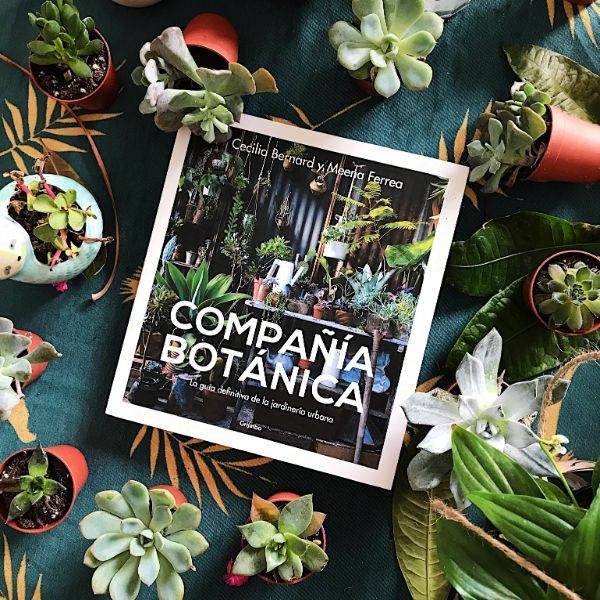 Libro para aprender a cuidar plantas en una mesa rodeado de macetas y cactus